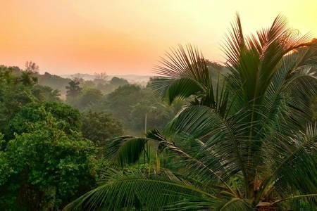 Varshavan- Nature, Hobby And Art Residency Dapoli Exterior photo